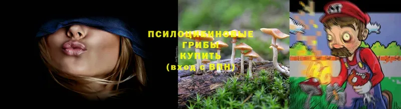 Галлюциногенные грибы MAGIC MUSHROOMS  сколько стоит  Белозерск 